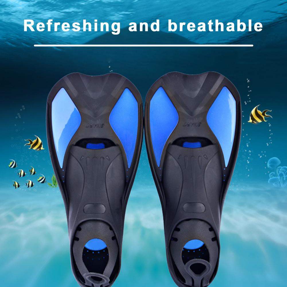Tauchflossen Schwimmtrainingsf – Snorkel Dry Top Bewertung und Preis